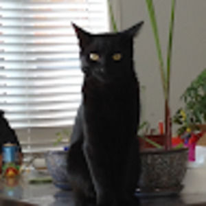 Meet your Posher, Nan